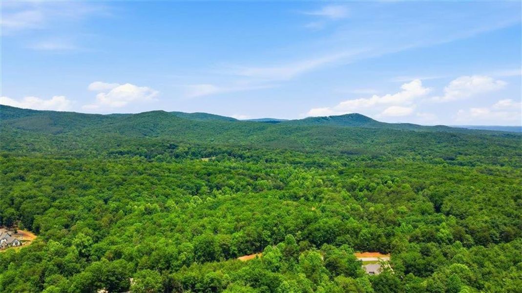 Natural landscape and outdoor views near  in Clarkesville (Image 69).