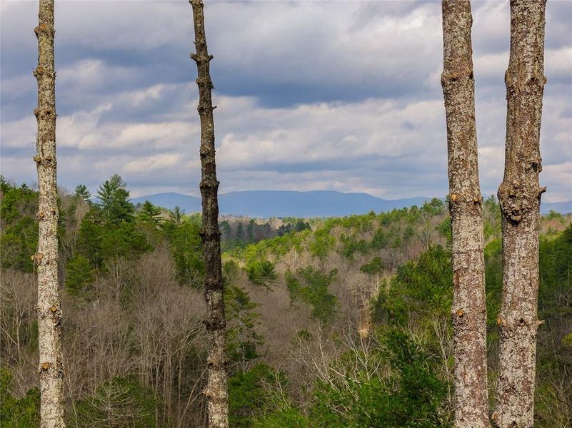 Natural landscape and outdoor views near  in Ellijay (Image 23).