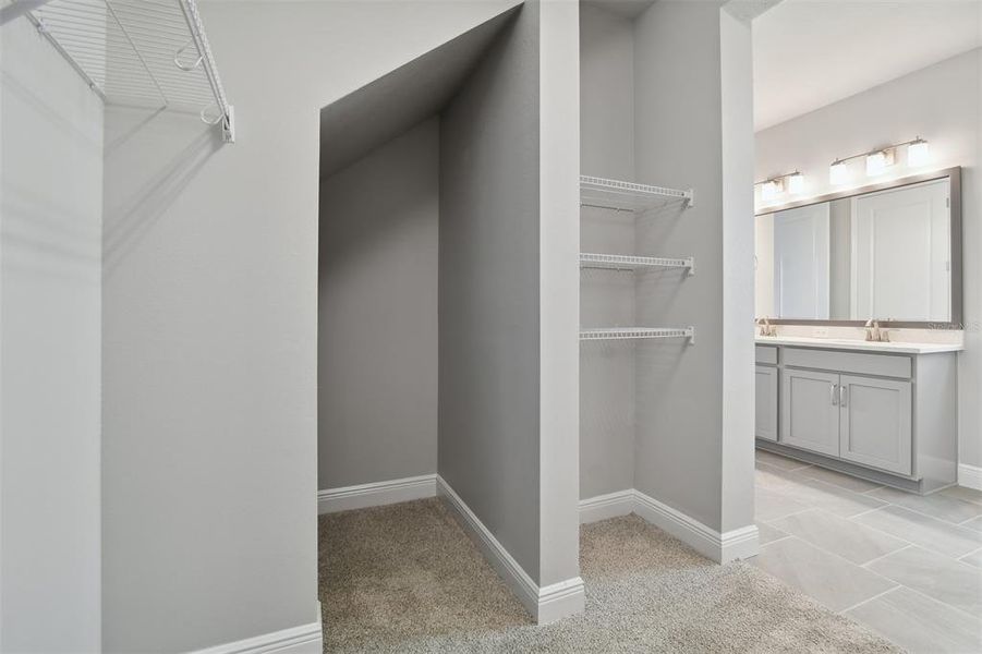 Storage Under Stairs