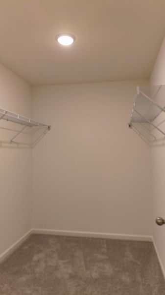 Spacious, unfurnished interior of a new home in Dawson Branch, Summerville (Image 12).