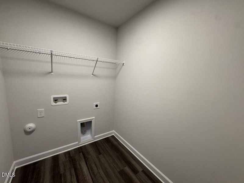 Photo Nov 16 2025, 3 48 20 PM (Medium)