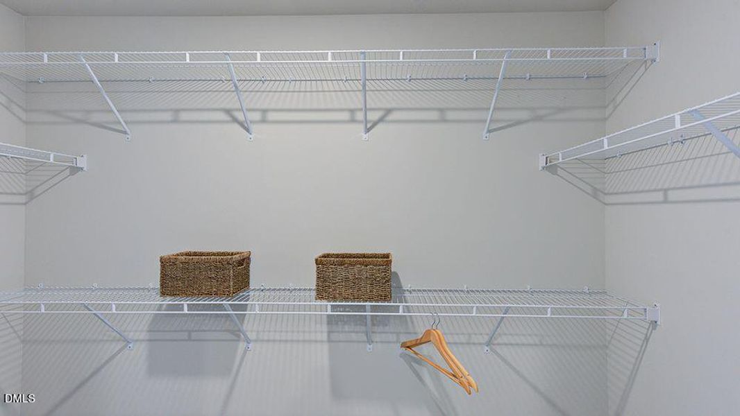 Hamilton_35 Hamilton_35