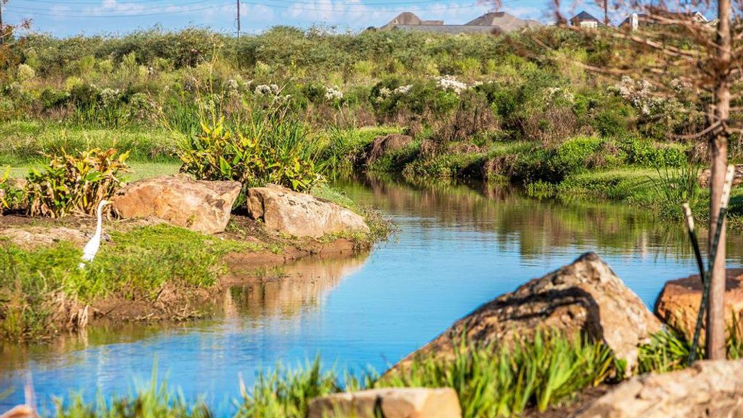 Natural landscape and outdoor views near Stonecreek Estates 50' in Richmond (Image 14).