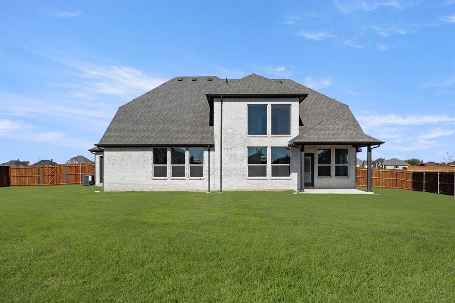 109 Golden Jackal- Back-2 109 Golden Jackal- Back-2