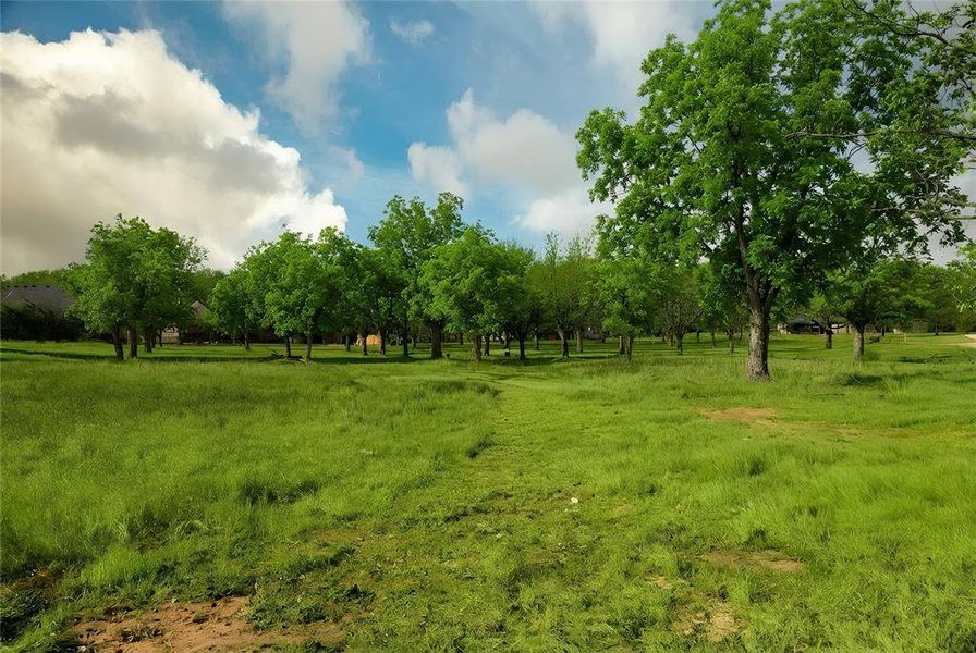 Natural landscape and outdoor views near  in Granbury (Image 37).