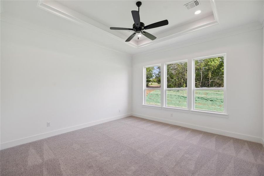 Carpeted spare room with ceiling fan, crown molding, and a tray ceiling