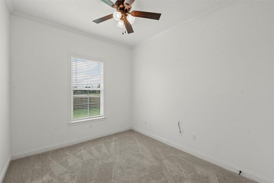 Unfurnished room featuring ornamental molding, carpet flooring, and ceiling fan Unfurnished room featuring ornamental molding, carpet flooring, and ceiling fan