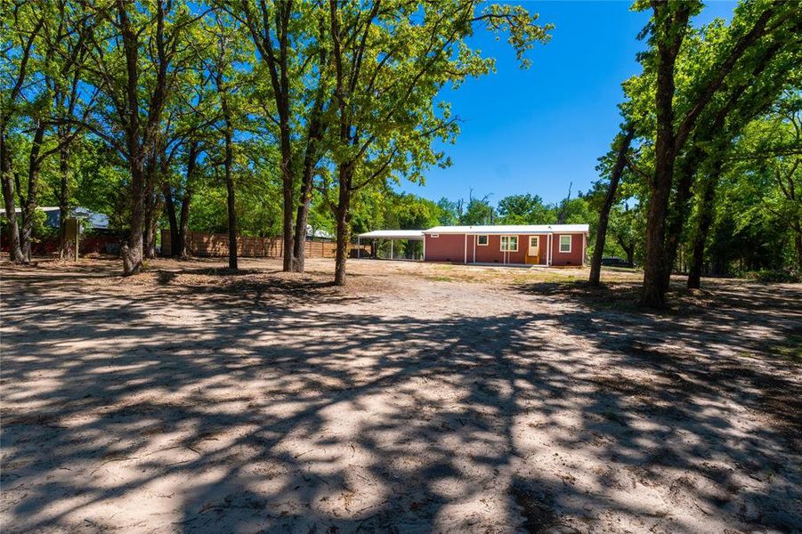 Natural landscape and outdoor views near  in Gun Barrel City (Image 25).