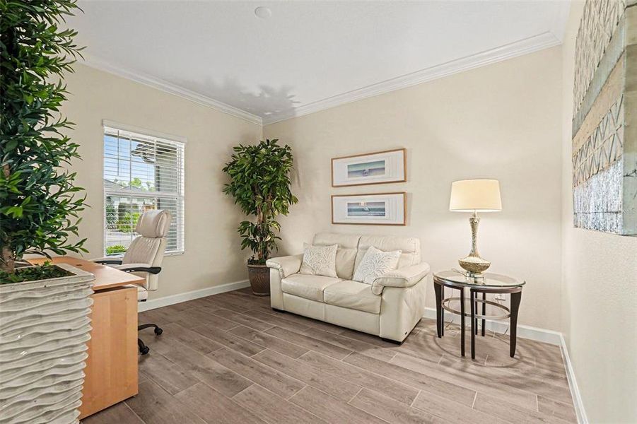 Furnished interior view inside a new home in Angeline Active Adult, Land O' Lakes (Image 29).