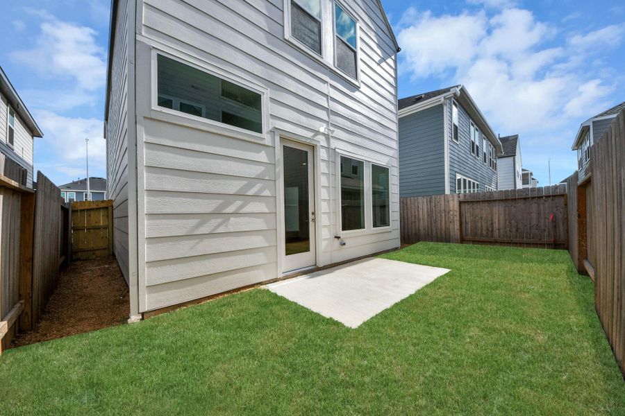 Backyard