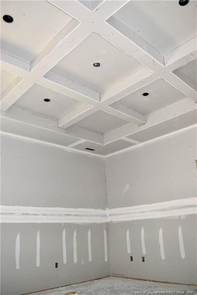Coffered ceiling in master bedroom