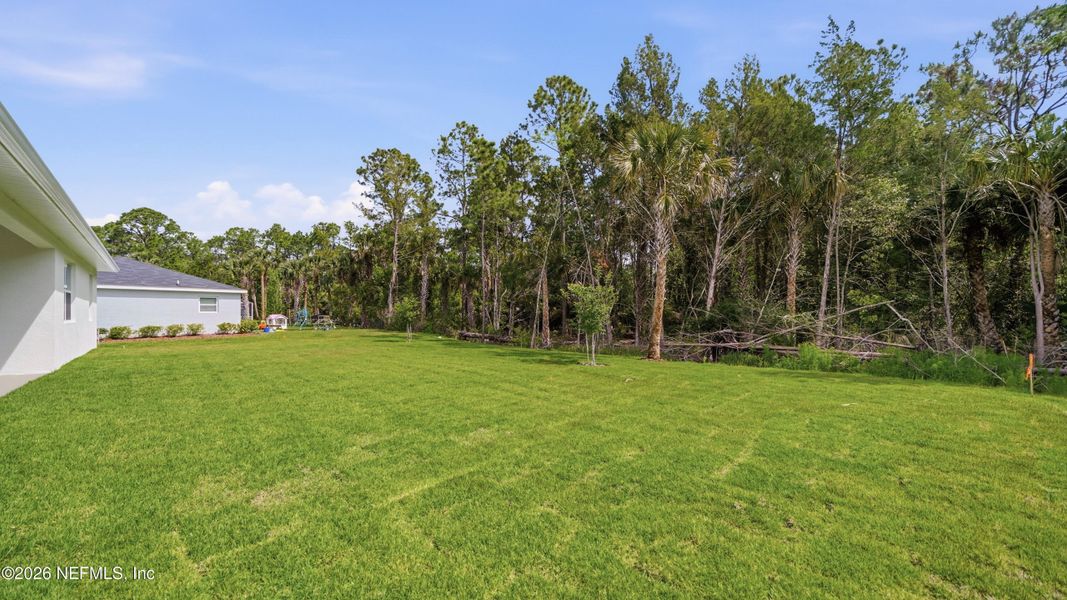 Natural landscape and outdoor views near  in Palm Coast (Image 45).