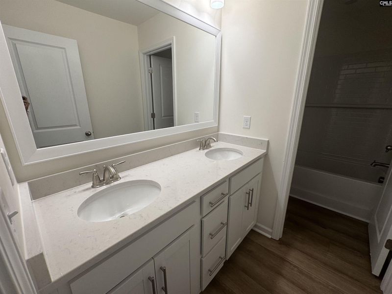 Furnished interior view inside a new home in Boykin Hills, Chapin (Image 6).