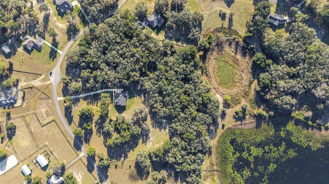 Natural landscape and outdoor views near  in Belleview (Image 86).