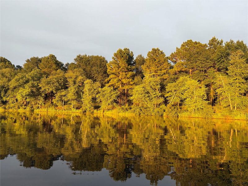 Image 28 of a home in .