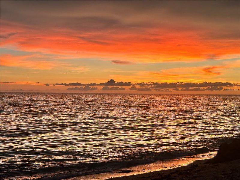 Natural landscape and outdoor views near  in Sarasota (Image 8).