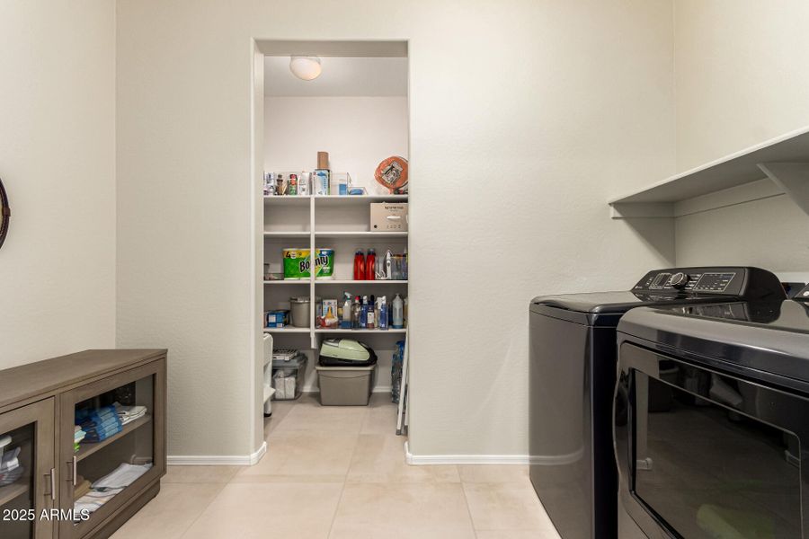 30-Cactus Wren 30-Cactus Wren