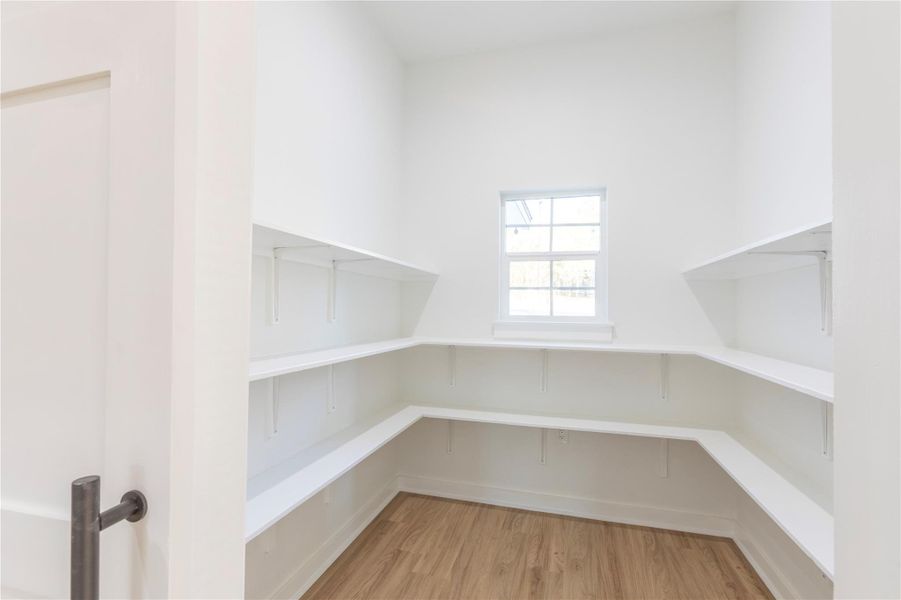 Oversized walk-in pantry offering exceptional storage.