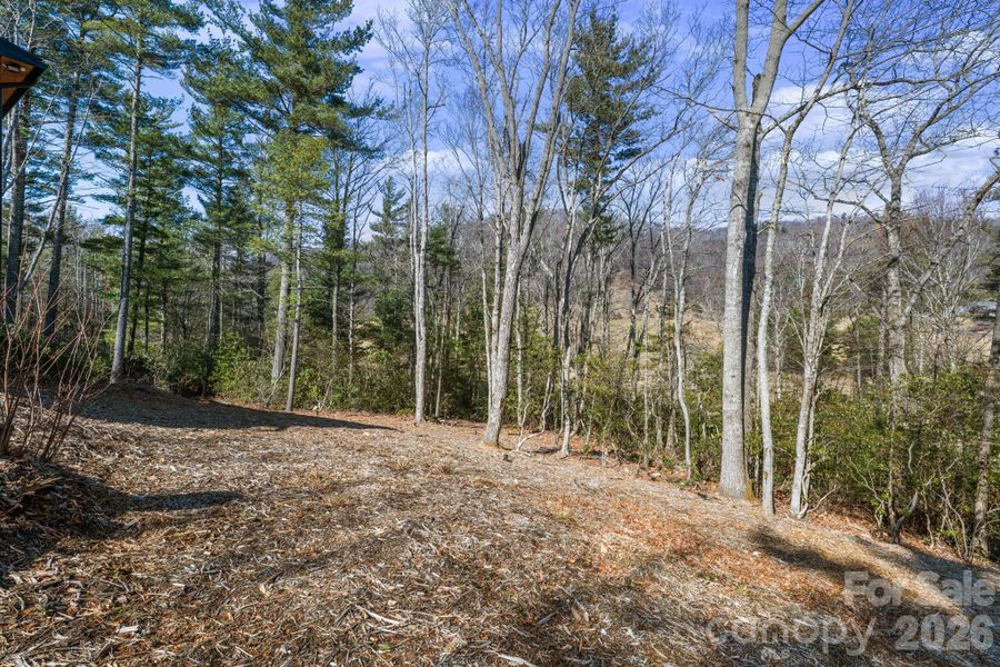 Front yard offers nice seasonal mountain views Front yard offers nice seasonal mountain views