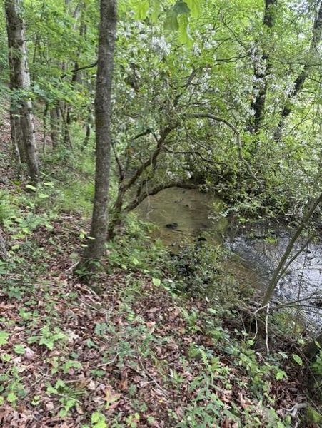 Natural landscape and outdoor views near in Ellijay (Image 49). Natural landscape and outdoor views near in Ellijay (Image 49).