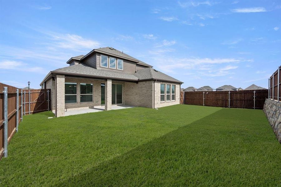 2412 Sparrow- Back-1