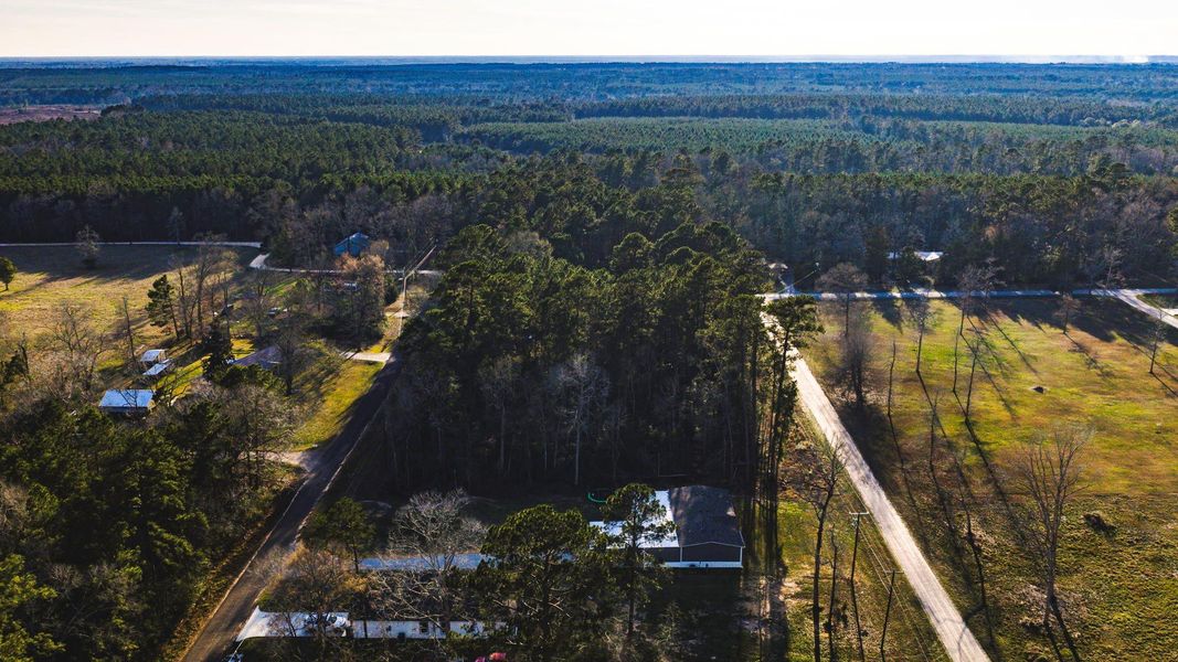 Natural landscape and outdoor views near  in Livingston (Image 28).