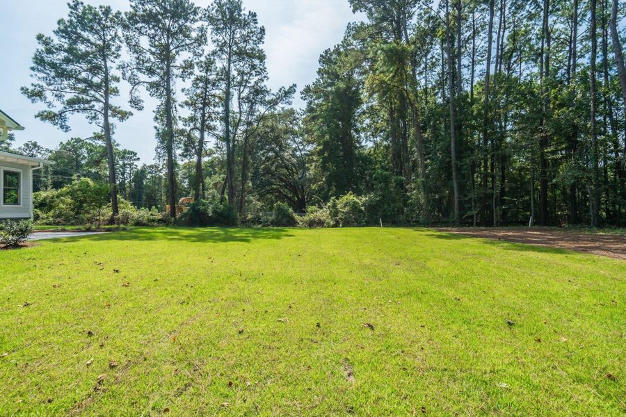 Natural landscape and outdoor views near  in Mount Pleasant (Image 114).