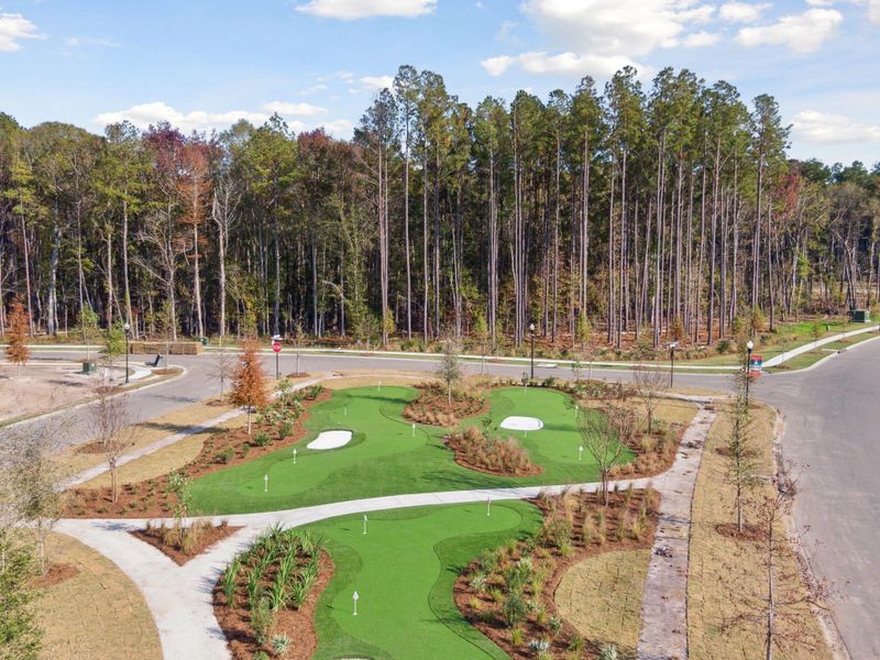 Community amenities in Horizons at Summers Corner | 55+, Summerville (Image 19).