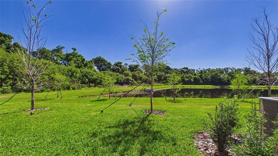 Natural landscape and outdoor views near  in Ruskin (Image 55).