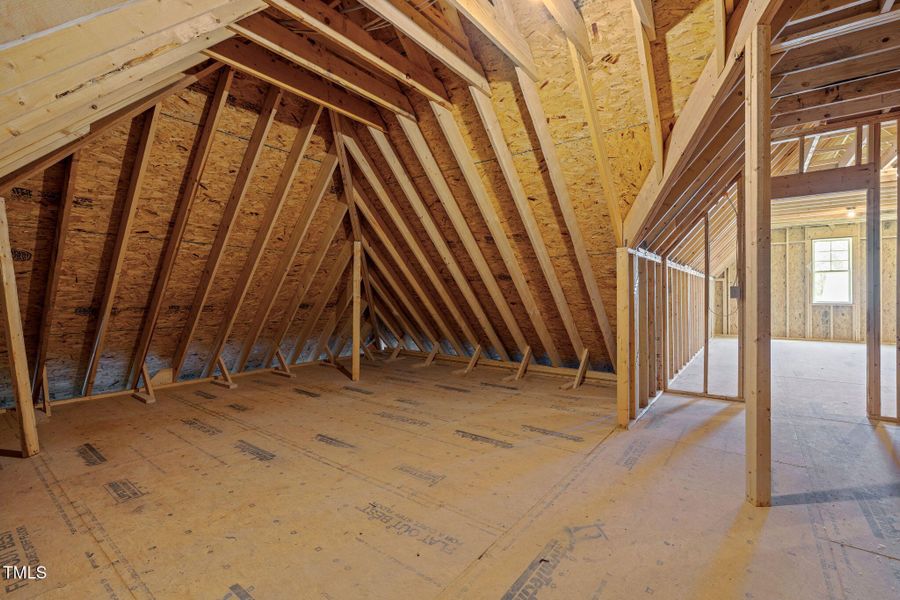 45-web-or-mls-5Z8A1222