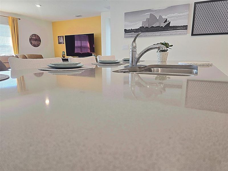 Close-up of interior finishes inside a home in Wind Meadows South, Bartow (Image 20).