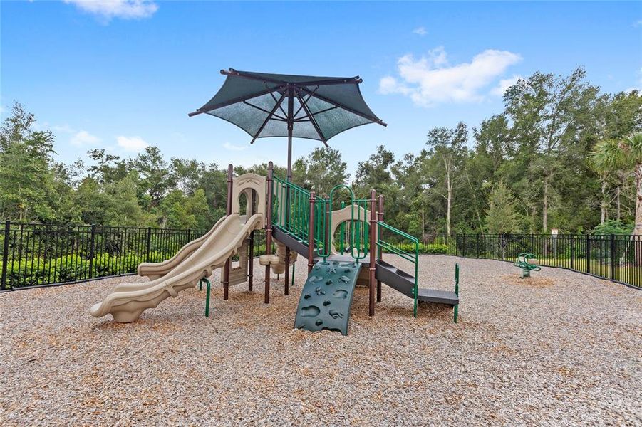 Community amenities in Foothills Preserve, Mount Dora (Image 47).