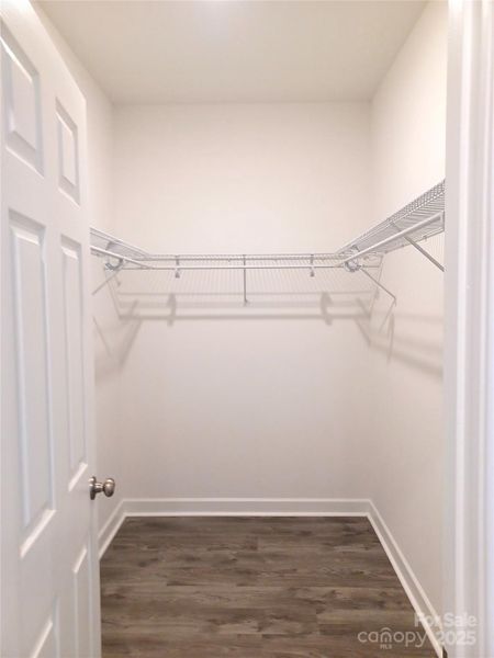 ... an amazing walk-in closet!