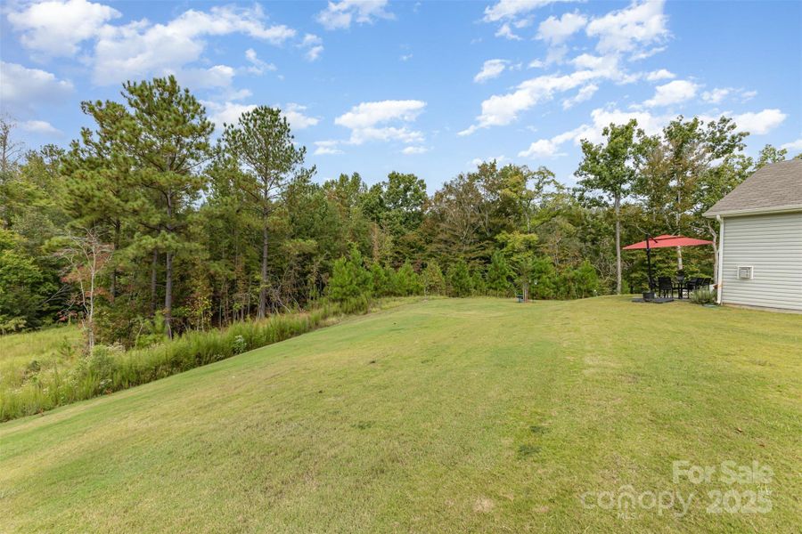 Large back yard with trees in the background