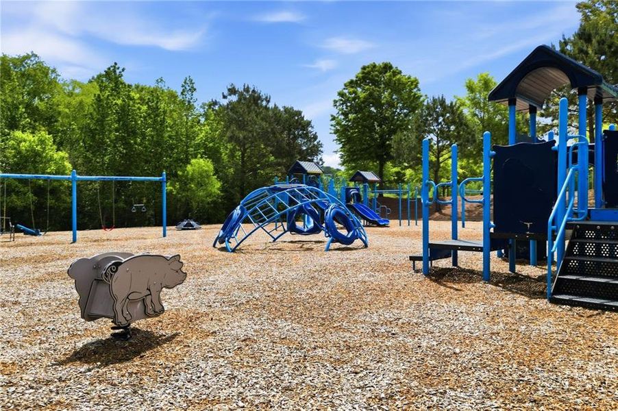 Community amenities in Vistas at Towne Mill, Canton (Image 60).