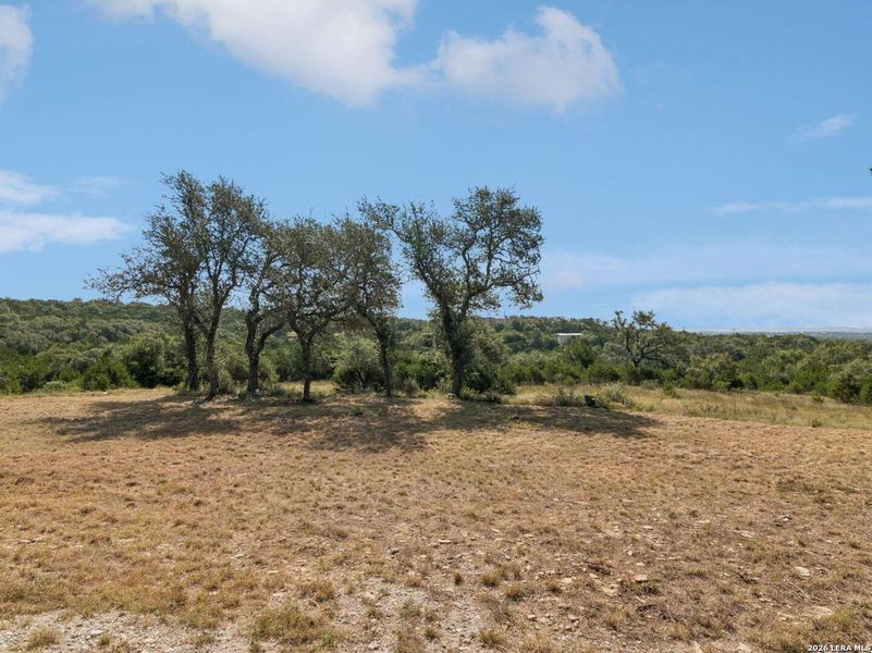 Natural landscape and outdoor views near  in Spring Branch (Image 67).