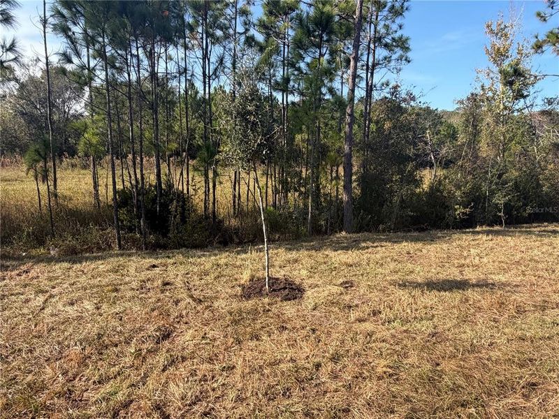 Natural landscape and outdoor views near in St. Cloud (Image 9). Natural landscape and outdoor views near in St. Cloud (Image 9).