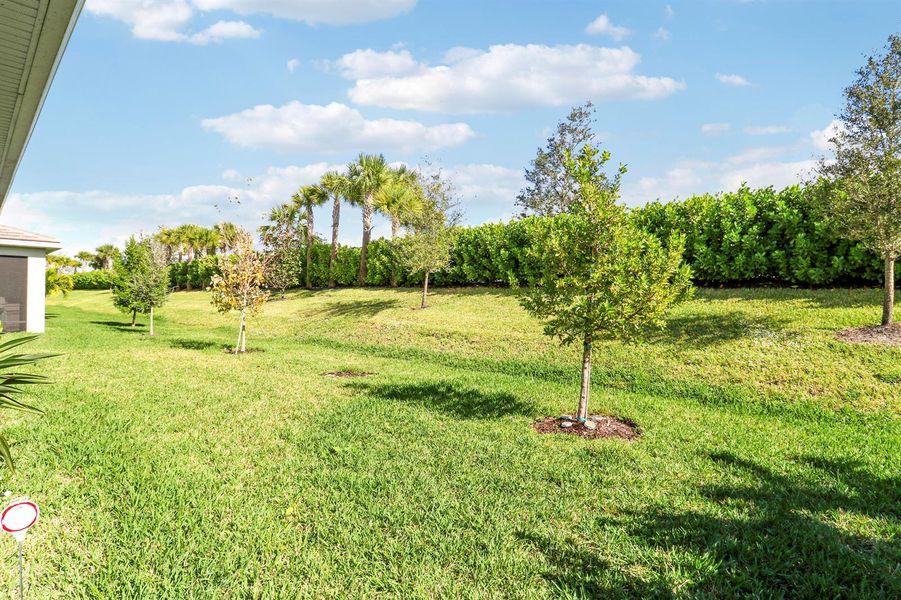 Private Backyard Private Backyard