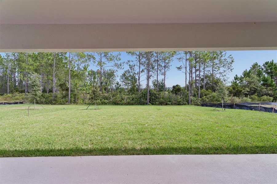 Natural landscape and outdoor views near Two Rivers in Zephyrhills (Image 30).