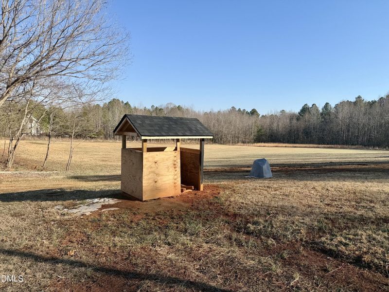 Joy_20260210_152357_156_photo