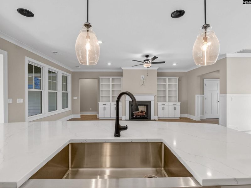 Close-up of interior finishes inside a home in Collins Cove, Chapin (Image 12).