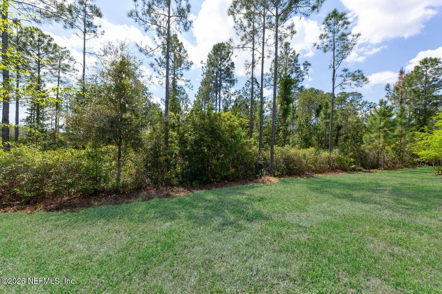 Natural landscape and outdoor views near  in Ponte Vedra (Image 32).