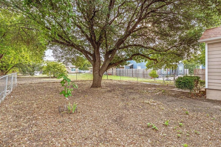Natural landscape and outdoor views near  in Godley (Image 14).