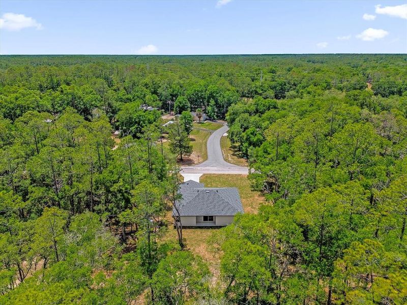 Natural landscape and outdoor views near  in Citrus Springs (Image 41).