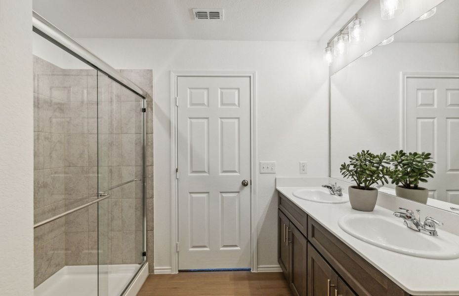 Owner's bath with large shower