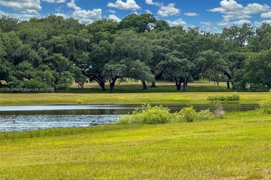 Natural landscape and outdoor views near  in Dunnellon (Image 29).