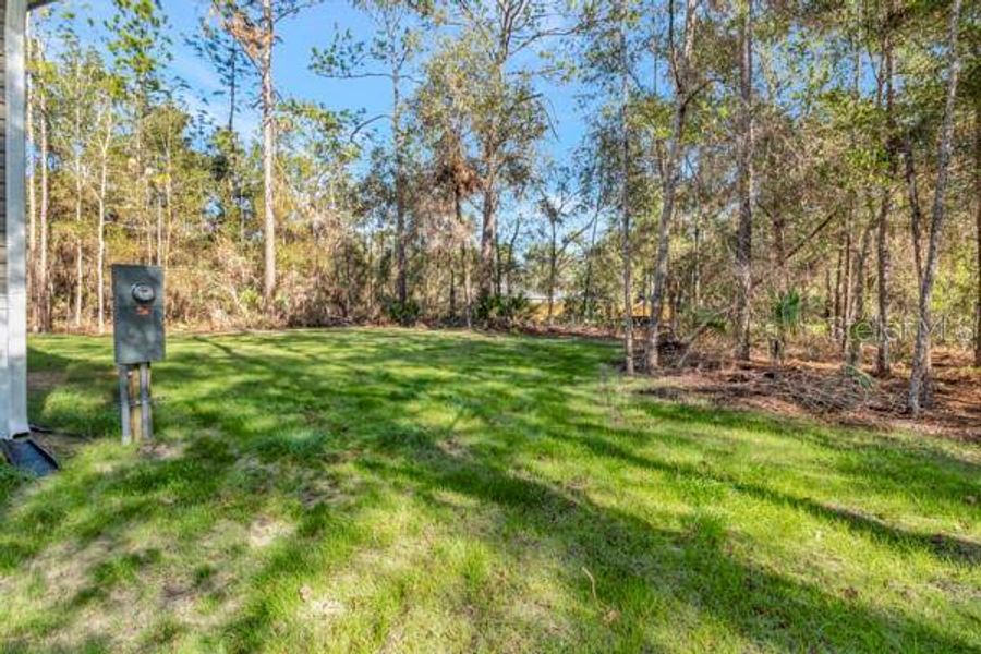 Natural landscape and outdoor views near  in Crystal River (Image 24).