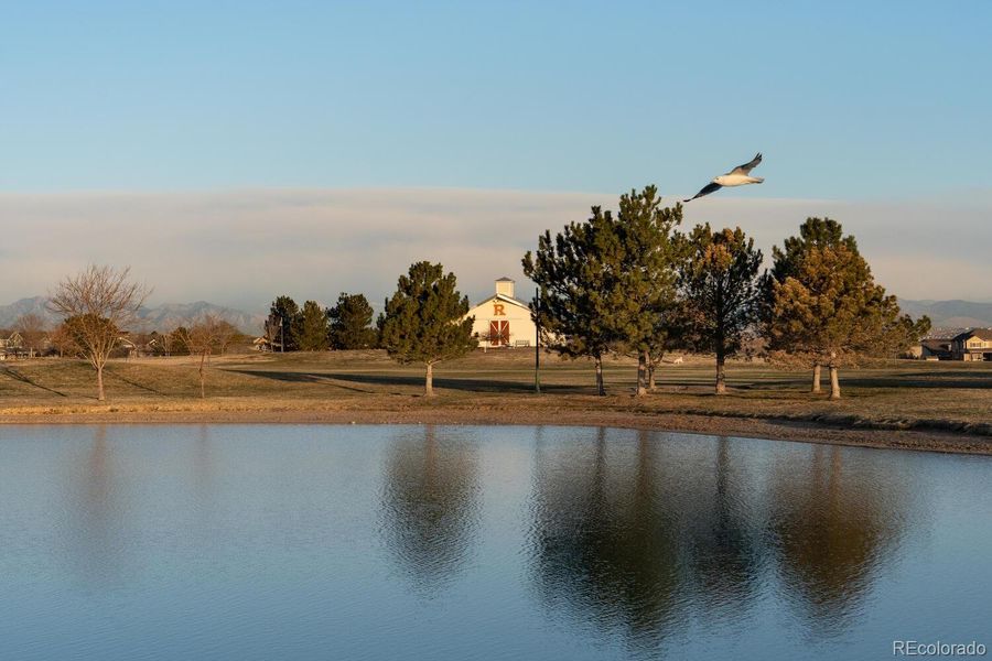 Natural landscape and outdoor views near  in Commerce City (Image 39).