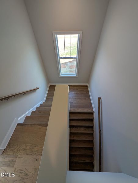 PXL_20251120_143030524 PXL_20251120_143030524