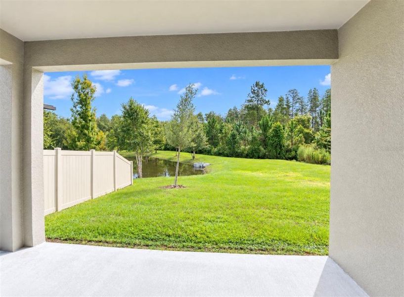 Exterior details and patio area of a home in Angeline Active Adult, Land O' Lakes (Image 28).